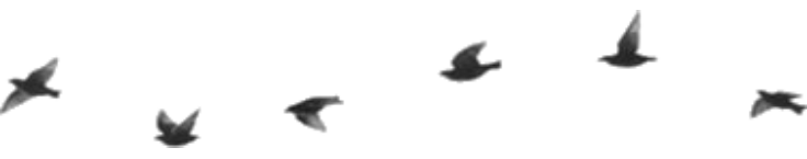 Divider