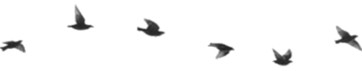 Divider